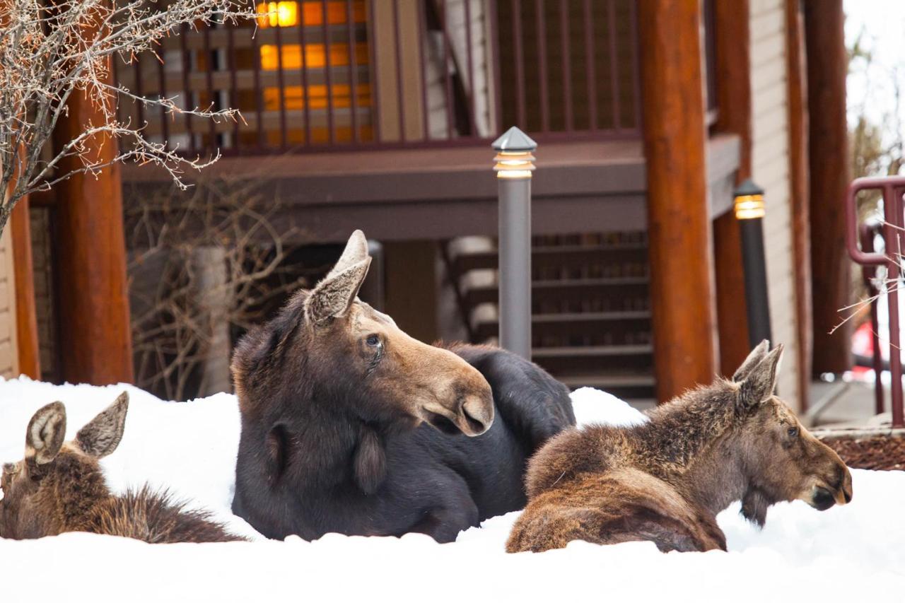 Antlers Villa Steamboat Springs Luaran gambar